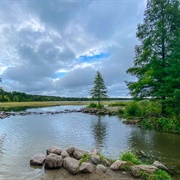 Itasca State Park - Minnesota