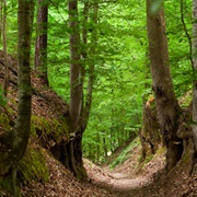 Natchez Trace National Scenic Trail