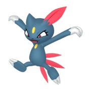 Sneasel (Male)