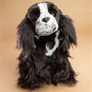 Toy Spaniel