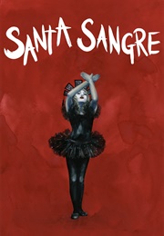Santa Sangre (1989)