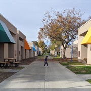 California School for the Blind