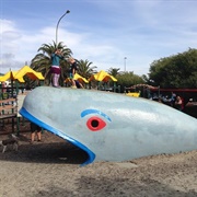 Tahunanui Beach Playground