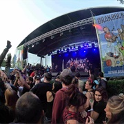 Brackrock (Antwerpen)