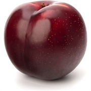 Fresh Plum