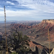 Grand Canyon-Parashant, AZ (BLM & NPS)