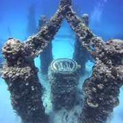 Neptune Memorial Reef