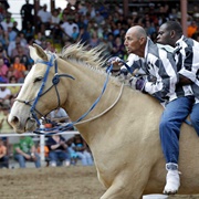 Angola Prison Rodeo