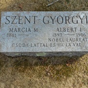 Albert Szent-Gyorgyi's Grave