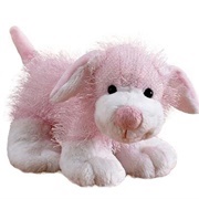 Pink White Dog