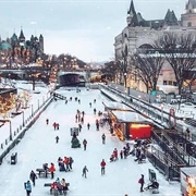 Rideau Canal (Ice Skating)