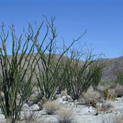 Kane Spring, California