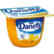 Danette Caramel Pudding