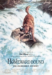Homeward Bound: The Incredible Journey (1993)