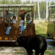 Zoo Sauvage - Saint Félicien