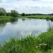 Chimney Meadows National Nature Reserve