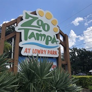 Zoo Tampa
