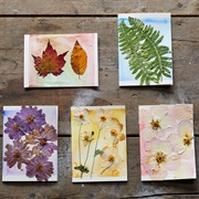 Pressed Flower Art