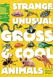 Strange, Unusual, Gross & Cool Animals (Charles Ghigna)