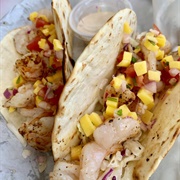 Wild Sassa, Homosassa, Florida