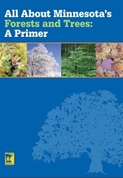All About Minnesota's Forests and Trees: A Primer (Duffey, Laura)