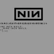 Nine Inch Nails - And All That Could Have Been