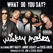 Mickey Avalon - What Do You Say? - Single