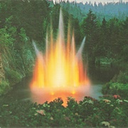 Nighttime Lights, Butchart Gardens, Victoria, BC