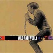 The Experience Music Project - Wild and Wooly