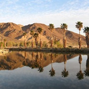 Zzyzx Mineral Springs and Healing Center
