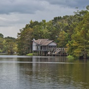 Chicot State Park - Louisiana