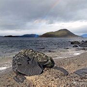 Petroglyph Beach
