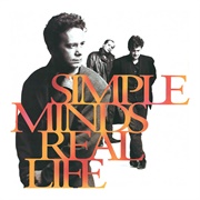 Real Life (Simple Minds, 1991)