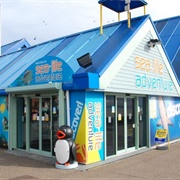 Sealife Adventure Aquarium, Southend