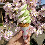 Sakura and Matcha Ice Cream