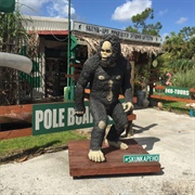 Skunk Ape Research Headquarters