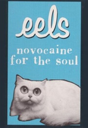 Eels: Novocaine for the Soul (1996)