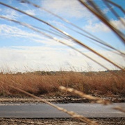 Medlar Conservation Area
