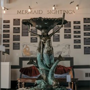 The Mermaid Museum