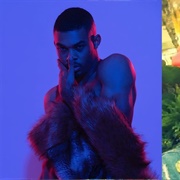 Zachary Jones (Gay, He/Him)