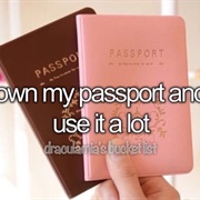 Own My Passport and Use It a Lot