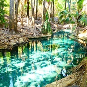 Mataranka Thermal Pool, NT