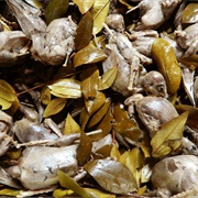 Pilloneddus E Taccula