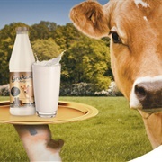 Glass Gold Top Jersey Milk