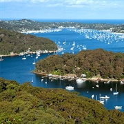 Scotland Island, NSW