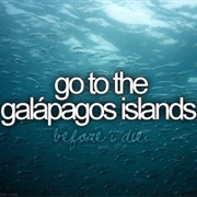 Go to Galapagos Island
