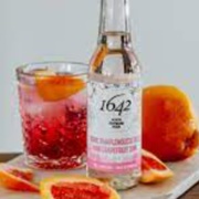 1642 Pink Grapefruit Tonic