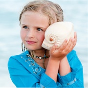 Hear the Ocean Through a Whelk