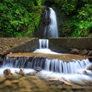 Saut Gendarme Waterfall, Martinique