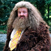 Harry Potter - Rubeus Hagrid